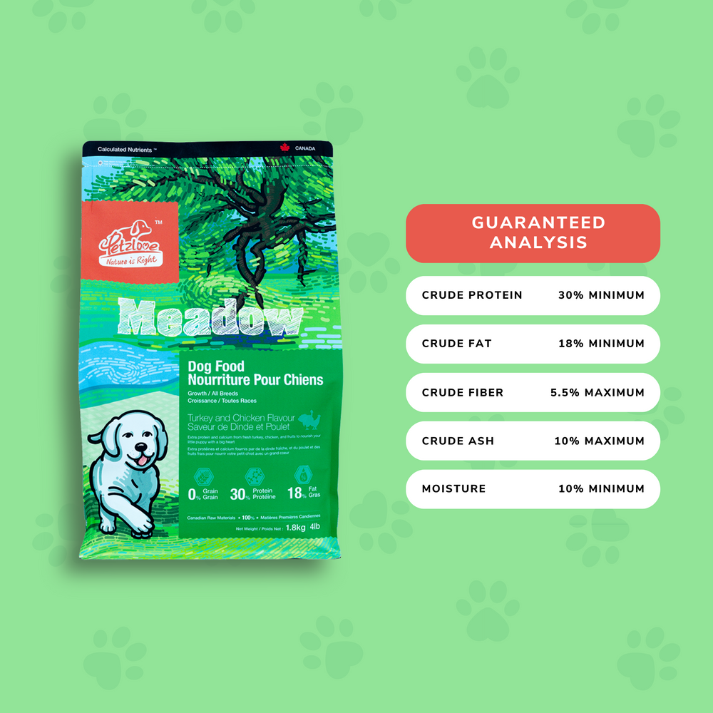 Meadow (Puppy)