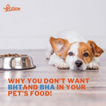 Why you don’t want BHT and BHA in your pet’s food! 