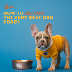 How to Choose the Very Best Dog Food?