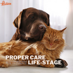 Ever curious about how to properly take care of your pet at different life stages?