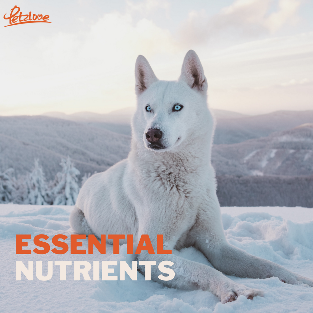 Essential nutrients for your fur babies
