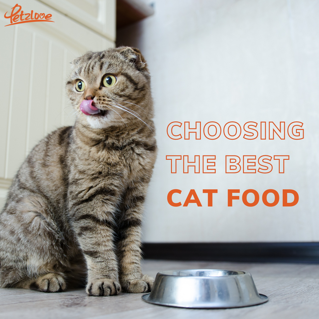 A Guide to Choosing the Best Cat Food for Your Cats Breed and Age