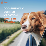 Pawsome Adventures: Dog-Friendly Summer Vacation Spots in Canada